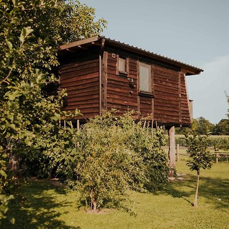 Treehouse Drevesna Hiska Strkovo Gnezdo Ranc Jures 호텔 류토메르 외부 사진