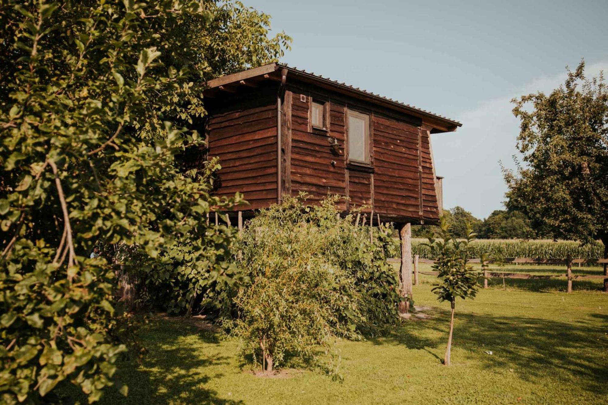 Treehouse Drevesna Hiska Strkovo Gnezdo Ranc Jures 호텔 류토메르 외부 사진